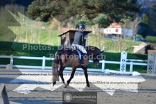 ref. photo 3551263