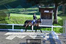 ref. photo 3551272