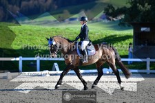 ref. photo 3551274
