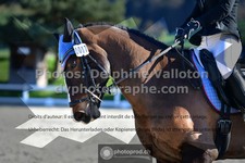 ref. photo 3551277