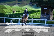 ref. photo 3551280