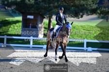 ref. photo 3551282