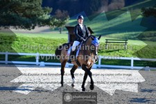 ref. photo 3551283