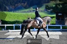 ref. photo 3551286