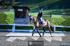 ref. photo 3551287