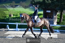 ref. photo 3551288