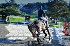 ref. photo 3551290