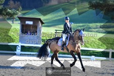 ref. photo 3551293