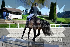 ref. photo 3551295