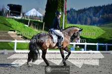 ref. photo 3551296