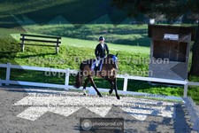 ref. photo 3551301