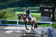 ref. photo 3551302