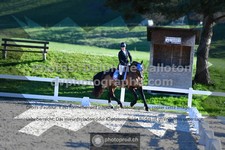 ref. photo 3551303