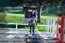 ref. photo 3551304