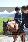 ref. photo 3551316