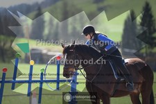 ref. photo 3551370