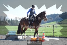 ref. photo 3551382