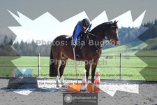 ref. photo 3551383