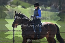 ref. photo 3551392
