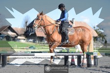 ref. photo 3551401