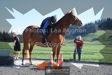 ref. photo 3551402