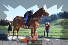 ref. photo 3551403