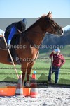 ref. photo 3551405