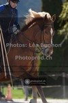 ref. photo 3551410