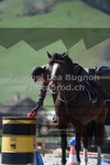 ref. photo 3551414