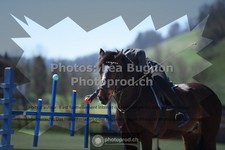 ref. photo 3551416