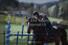 ref. photo 3551417