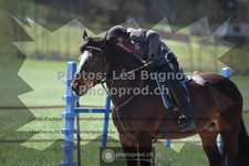 ref. photo 3551418