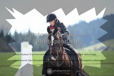 ref. photo 3551419