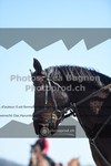 ref. photo 3551427