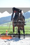 ref. photo 3551429