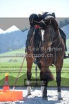 ref. photo 3551431