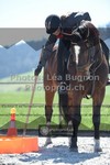 ref. photo 3551432
