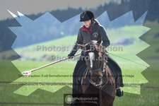 ref. photo 3551433