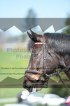 ref. photo 3551434