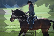 ref. photo 3551437