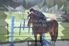 ref. photo 3551439