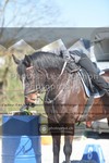 ref. photo 3551445