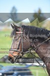 ref. photo 3551446