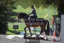 ref. photo 3551447