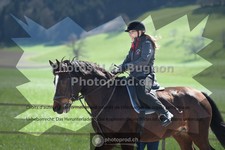 ref. photo 3551448