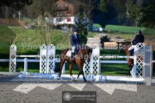 ref. photo 3551449