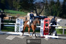 ref. photo 3551450