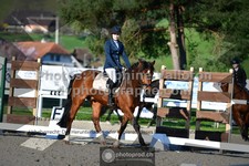 ref. photo 3551451