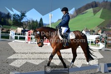 ref. photo 3551452