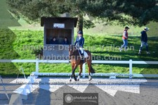 ref. photo 3551453